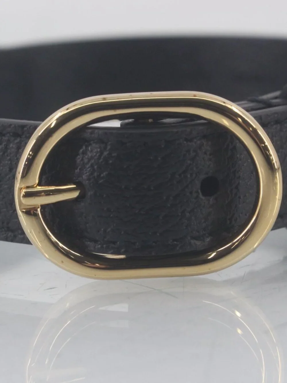 Gucci Dog Collar in Dustbag & Box